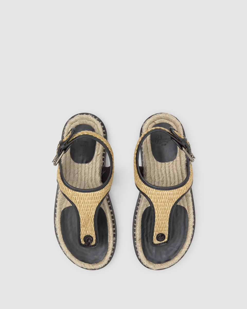 TAMESIS/104 TAMESIS/104