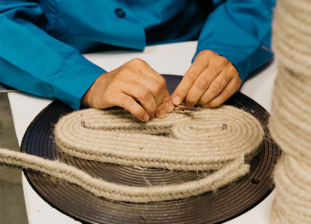 CHIARITA/6/002 CHIARITA/6/002